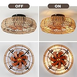 Letmarey 20" Caged Ceiling Fans with Lights and