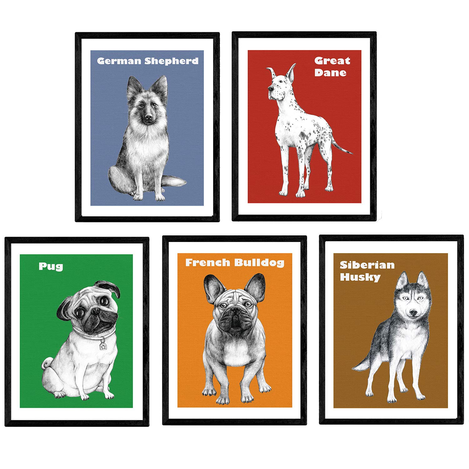 Nacnic Pack of Dogs posters pop art race. Decorative plates dogs. A3 size