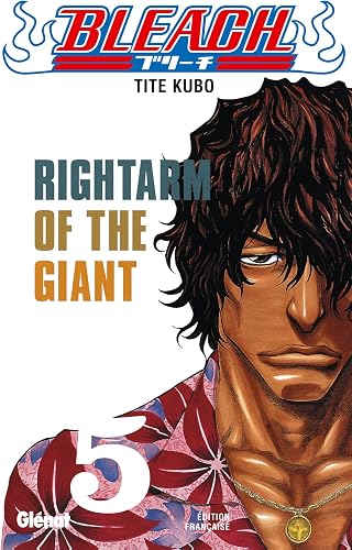 Download Bleach - Tome 05: Rightarm of the Giant PDF