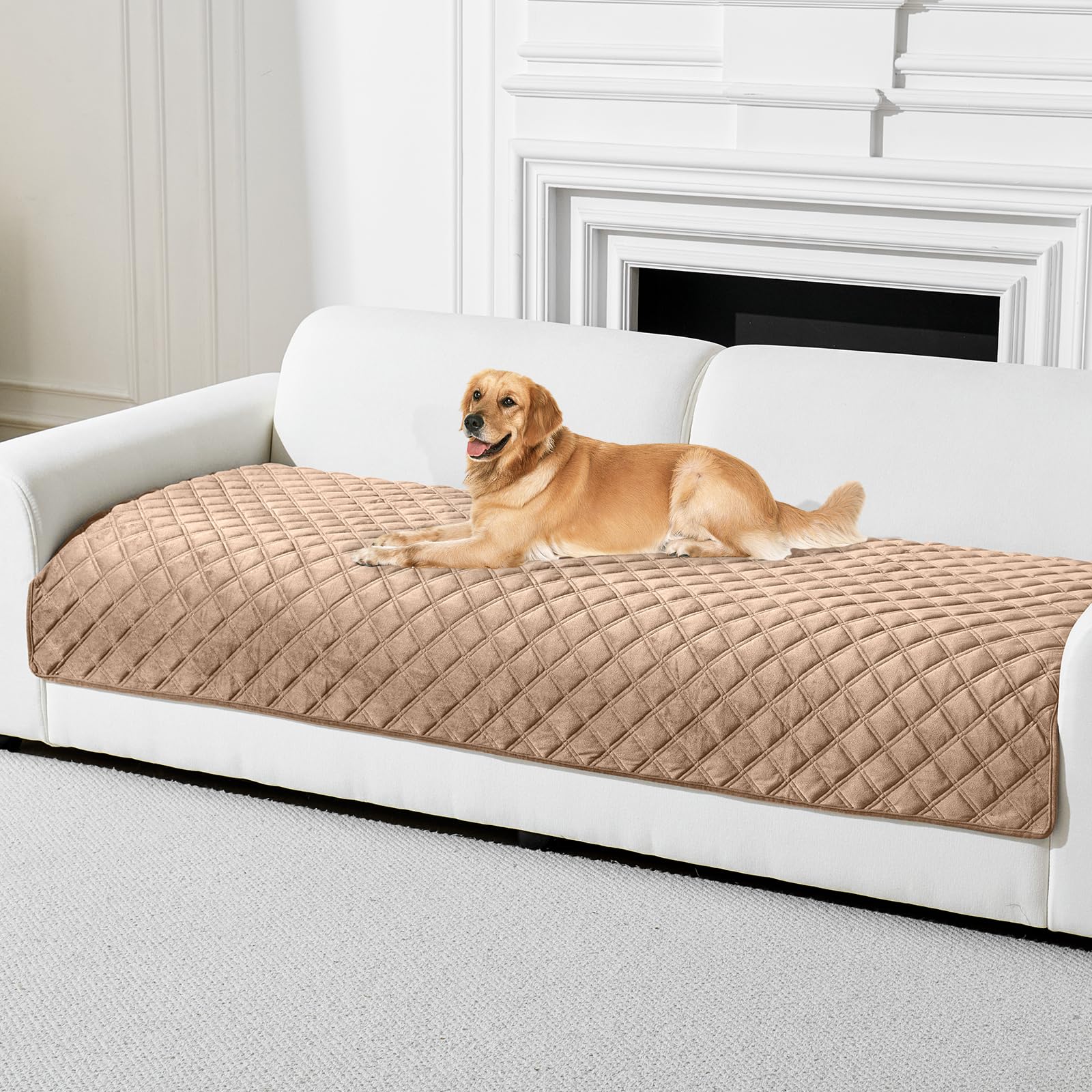 Photo 1 of Deep Dream Velvet Couch Cover for Dogs Washable, Sectional Couch Covers, Anti Slip Sofa Covers for 3 Cushion Couch Pet Friendly, Sofa Slipcovers for Dogs Pets Kids (Khaki, 36"x 71")