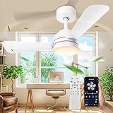 28"Ceiling Fans with Lights, Flush Mount Ceiling