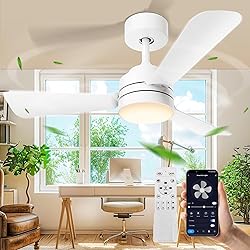 28"Ceiling Fans with Lights, Flush Mount Ceiling
