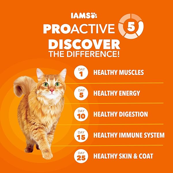 IAMS PROACTIVE HEALTH DRY CAT FOOD, HEALTHY CAT FOOD DRY RECIPE FOR ADULTS, WITH CHICKEN 3.5 LB. BAG