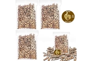WINUSD 300pcs Fucks to Give-Fuck Wooden Letter Piece & Fuck Gold Coin DIY Jar of Fucks Gift Jar, Funny Gifts for Friends, Birthday Gift, Valentine's Day Gift, New Year Gift