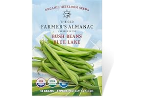 The Old Farmer's Almanac Heirloom Organic Bush Bean Seeds (Blue Lake) - Approx 45 Seeds - Certified Organic, Non-GMO, Open Pollinated, Heirloom, USA Origin