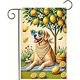 BlissYard Welcome Summer Spring Garden Flag 12x18 Double Sided Lemon Summer Garden Flag Small House Flags Outside Outdoor Seasonal Porch Lawn Yard Outdoor Decoration