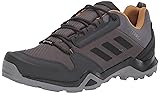 adidas outdoor Men's Terrex AX3 GTX Hiking