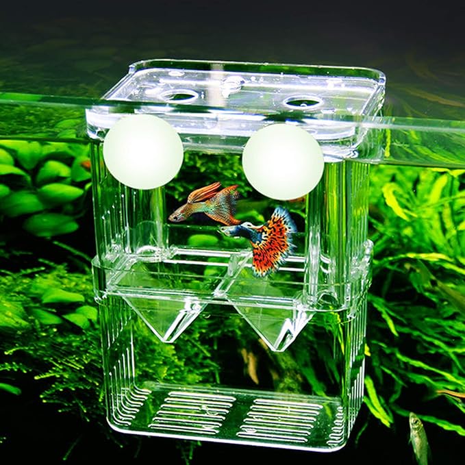 Fortunestar Fish Breeding Box Aquarium Fish Tank Hatchery