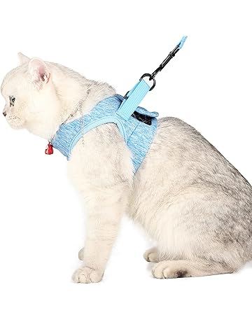 Amazon Ca Harnais Colliers Harnais Et Laisses Animalerie