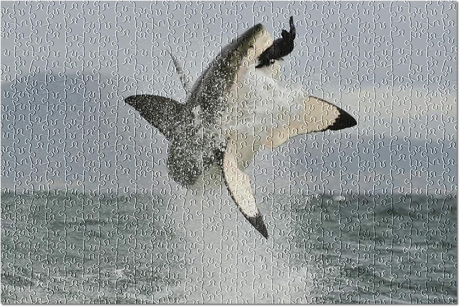 Great White Shark Breaching in an Attack 9004317 (Premium 500 Piece Jigsaw Puzzle for Adults, 13x19, Made in USA!)