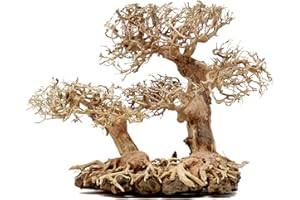 Bonsai Driftwood Aquarium Tree DLS (9 Inch Height x 12 Inch Length) Natural, Handcrafted Fish Tank Decoration | Easy to Install