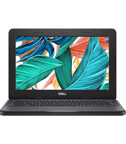 Asus Chromebook C223 11.6