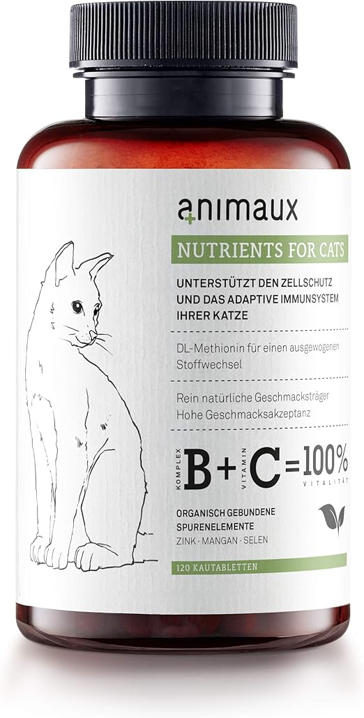 vitamins for kittens