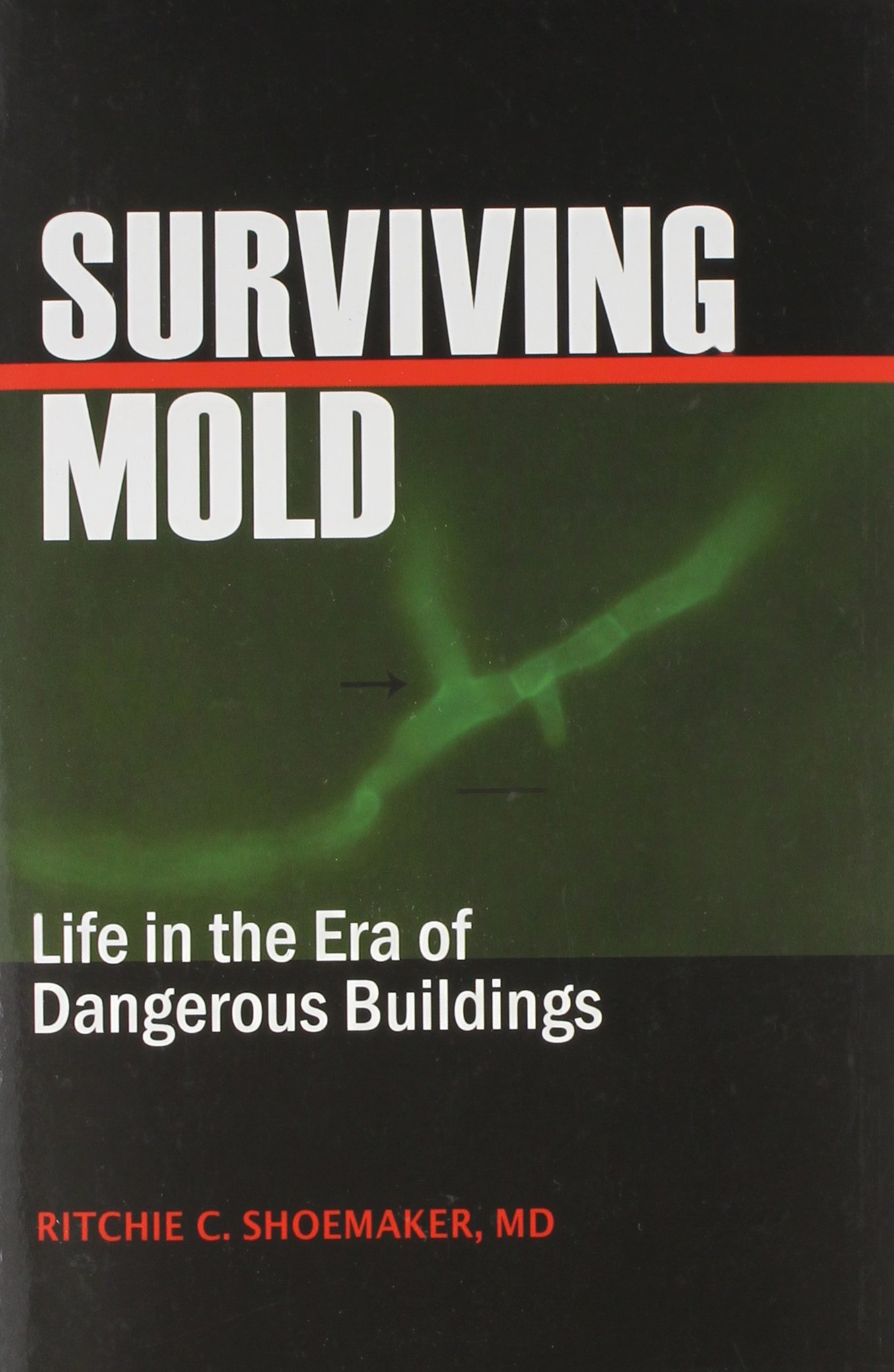 Surviving Mold: Life in the Era of Dangerous Buildings Paperback – December  15, 2010