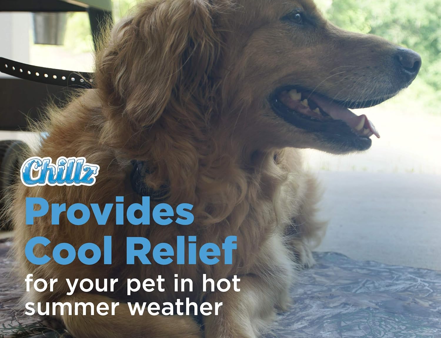 chillz cooling pad for dogs