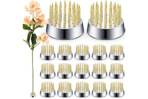 Kritkin 24 Pieces Flower Frogs Holder Mini Floral Round Flower Japanese Arranger Fixed Pin Holder for Arrangements Floral Plant Small Vase Ikebana Decoration Supplies Plant Fixation(0.9 Inch,Gold)