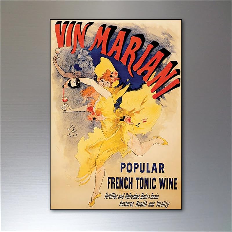 Fridge Magnets imán de refrigerador Conjunto de imanes de nevera ...