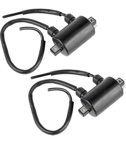 Honda VT 1100 C Shadow 1985-1986 (VT1100C SC18) Engine Stator Cover - Foto 8