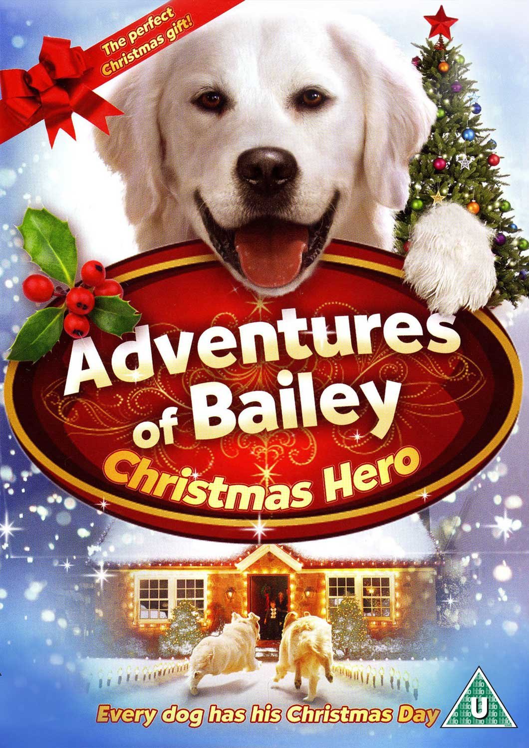 Adventures Of Bailey - Christmas Hero [DVD]