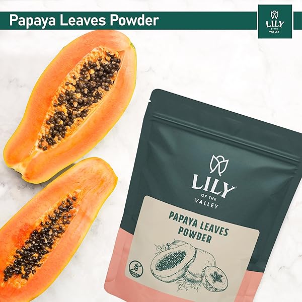 LILY OF THE VALLEY GREEN PAPAYA POWDER – NATURALLY RICH IN PAPAYA ENZYM – PAPAYA EXTRACTS FOR SMOOTHIES & SHAKES – VEGAN & GLUTEN-FREE – PACKED IN RESEALABLE POUCH (16OZ, 453G)