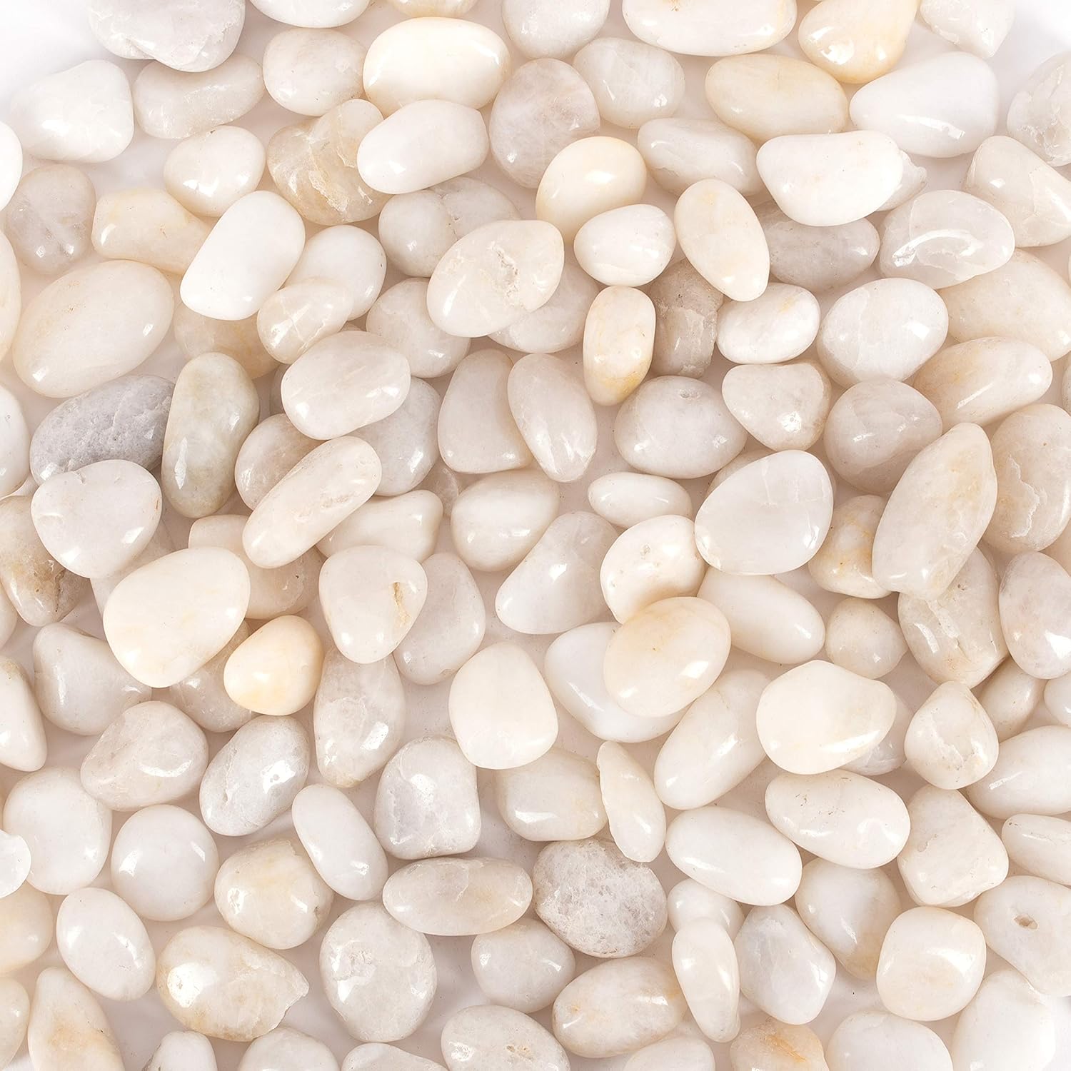 Hardscaping Materials - Galashield 5 lb White Rocks Pebbles for Plants Natural Decorative Polished Stones for Planters Succulent River Rocks Aquarium Gravel