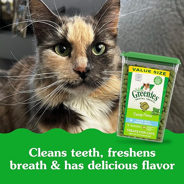 GREENIES CAT TREATS, FELINE VETERINARIAN-RECOMMENDED ADULT NATURAL DENTAL TREATS, CATNIP FLAVOR, 9.75 OZ. TUB