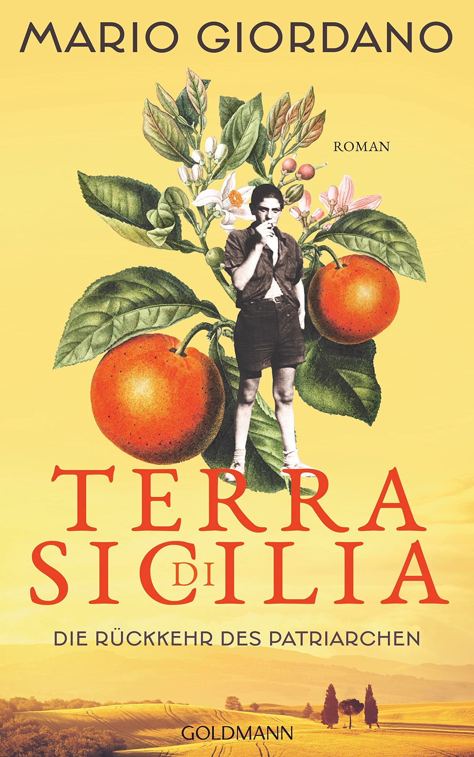 Cover des Buches Terra di Sicilia