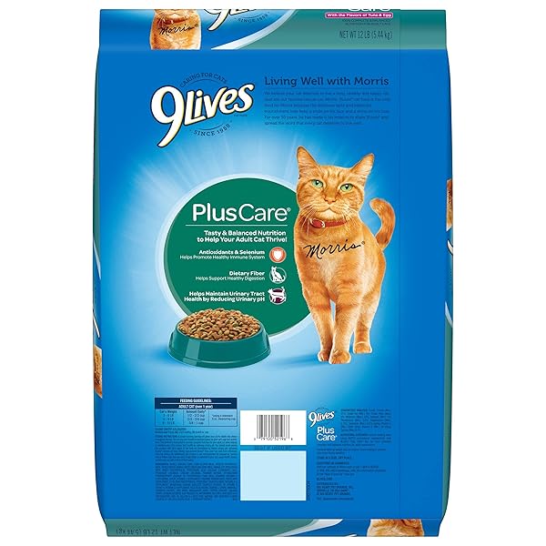 9LIVES PLUS CARE DRY CAT FOOD, 12 LB. BAG