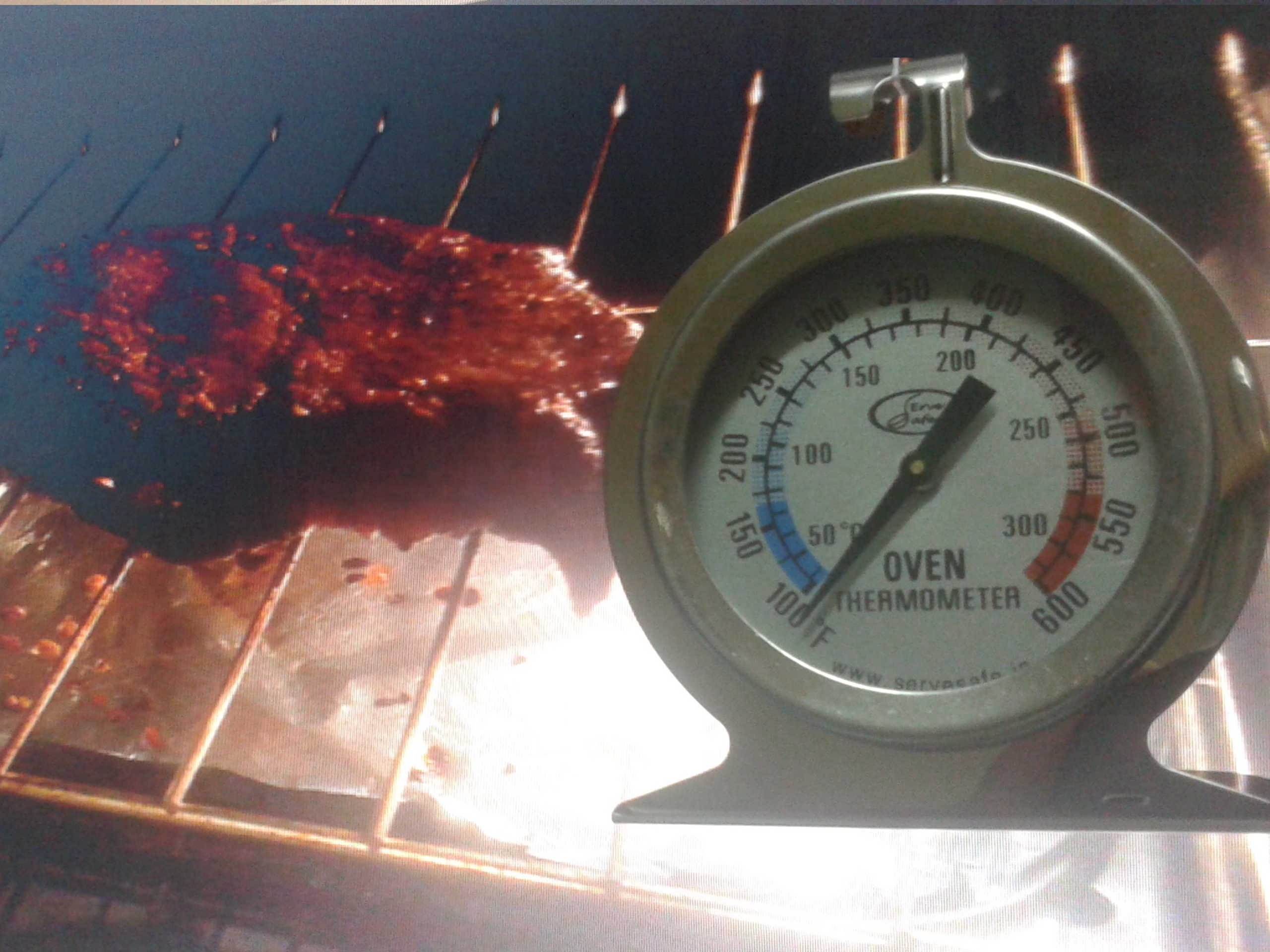 eForChina Stainless Steel Stand Up Oven Thermometer Gauge Gage (0~300oC)