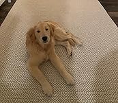 Review Image by Logan lord Logan lord