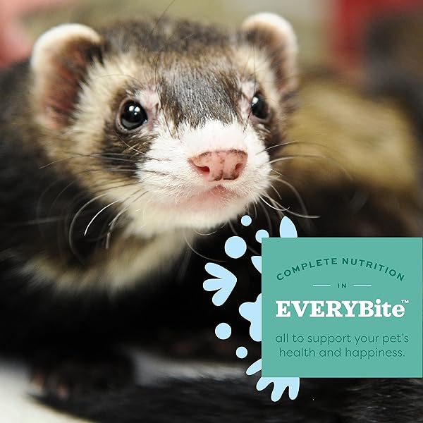OXBOW ESSENTIALS FERRET FOOD, VITAMIN & MINERAL RICH FORMULA FOR FERRET, HIGH PROTEIN FOOD & HIGH FAT, SMALL ANIMAL PET PRODUCTS, OXBOW, MADE IN USA, 4 LB BAG