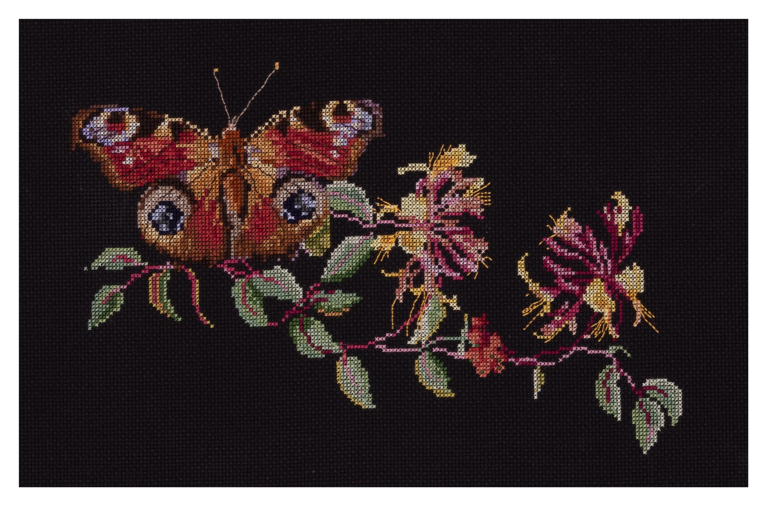 Thea Gouverneur - Counted Cross Stitch Kit - Butterfly-Honeysuckle - Aida Black - 18 Count - Embroidery Kit for Adults - DMC Embroidery Threads and Other Cross Stitch Supplies Included - 439.05