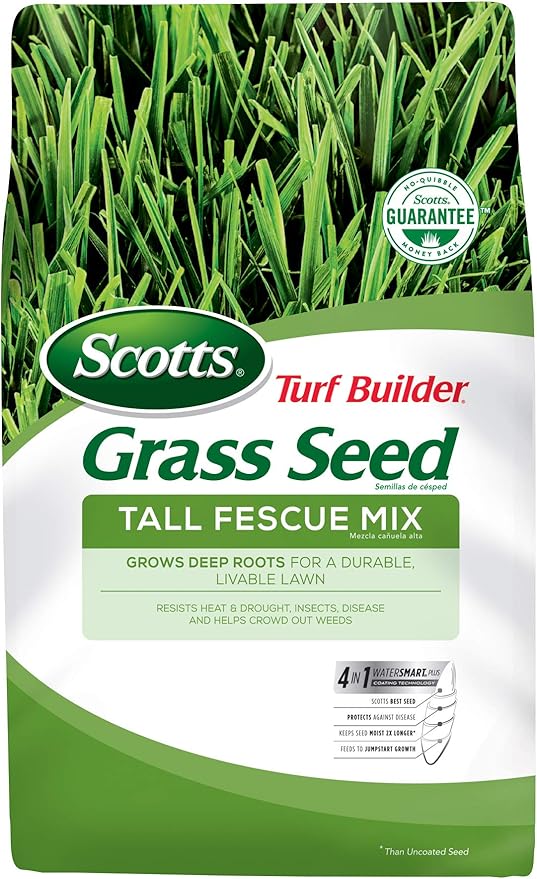 Amazon Com Scotts Turf Builder Grass Seed Tall Fescue Mix Seeds Up To 750 Sq Ft Full Sun Part Shade 3 Lb Not Available In Gu Pr Vi Grass Plants