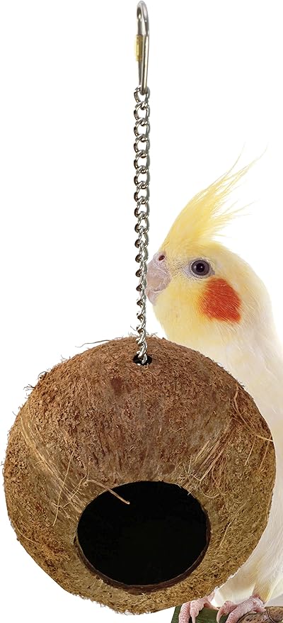 canary toys pets at home