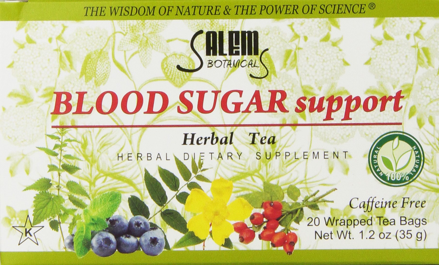 Salem Botanicals Herbal Tea, Blood Sugar Support, 20 Count Buy Online in United Arab Emirates