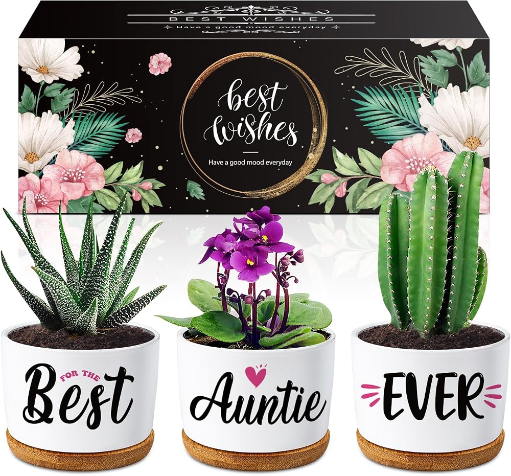 Buioata Auntie Gifts Succulent Planters Set Three Ceramic Pots