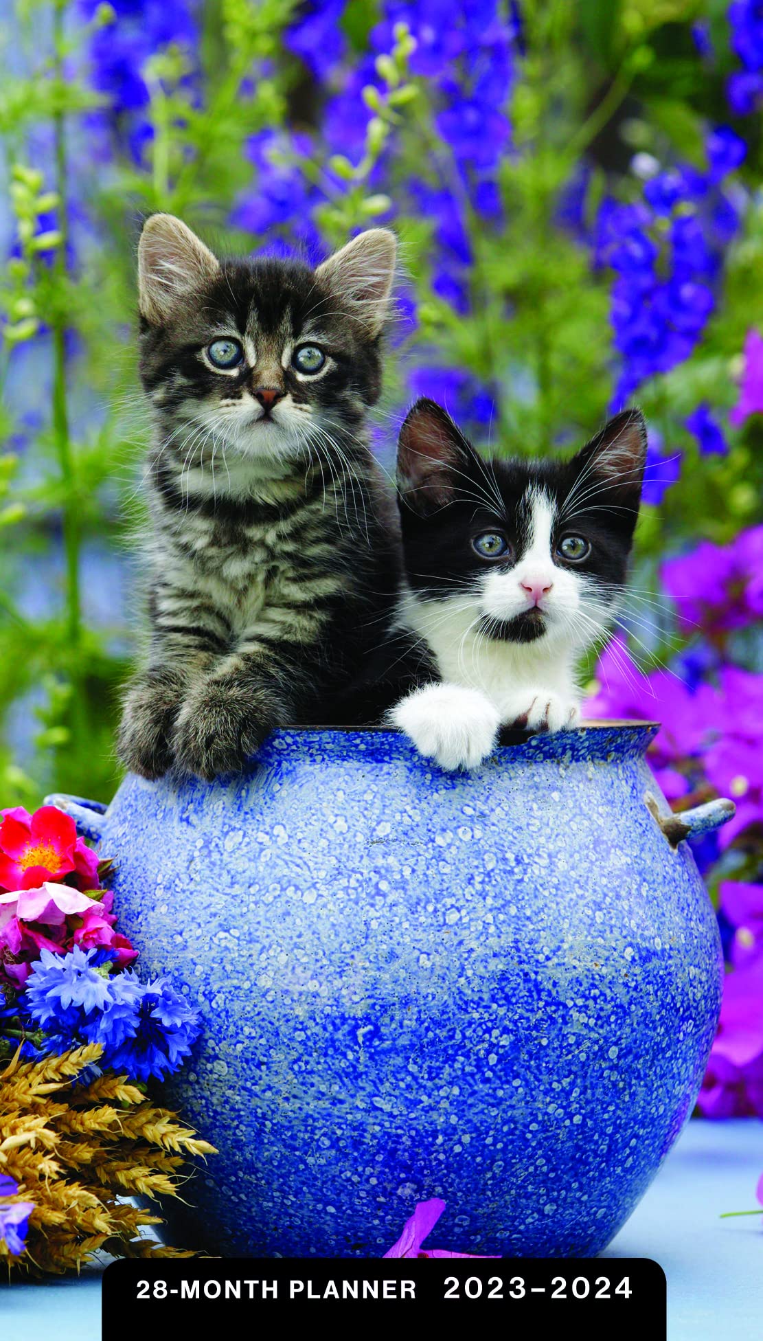 Lfp Calendrier 2023 2024 Kittens 2023 – 2024 28 Month Planner: 2 Year Pocket Calendar: Dayspring:  9781648704871: Amazon.com: Books