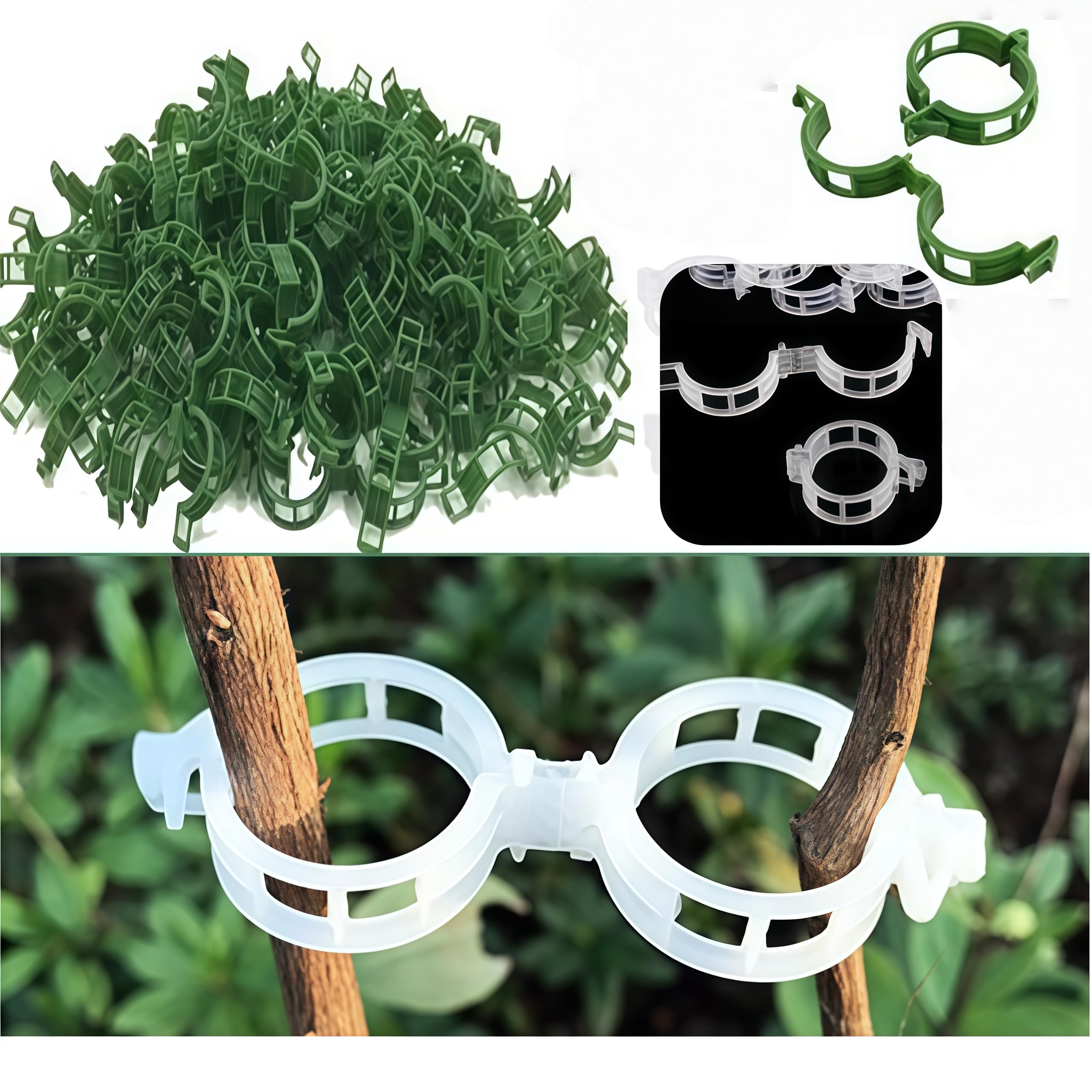 Plant Clips, Clips for Climbing Plants, Support Clips Garden Plant, Tomato Support Garden Clips Supports (Green+White) 200 Pcs Loopunk