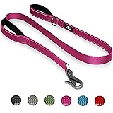TwoEar 5FT 1IN Strong Rose Dog Leash with 2 Padded