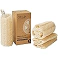 Chill Ah Green Glow Loofah Sponge Set – 100% Plant-Based, dye-Free, Biodegradable, Scratch-Free, Handcrafted in Vietnam (4-Pack)