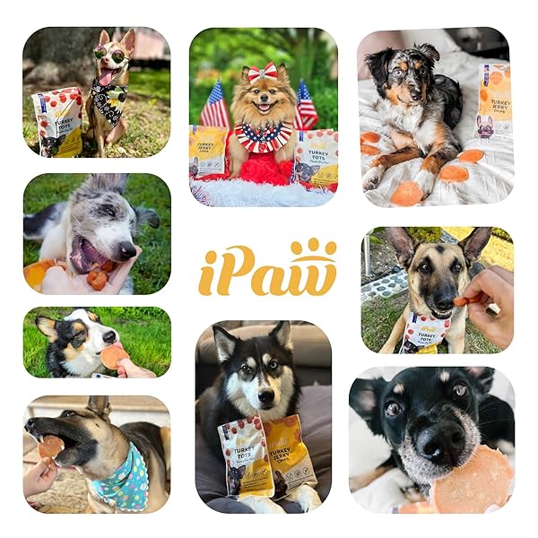 IPAW DOG TREATS FOR PUPPY TRAINING, ALL NATURAL HUMAN GRADE DOG TREAT, HYPOALLERGENIC, EASY TO DIGEST (FISH STICKS)