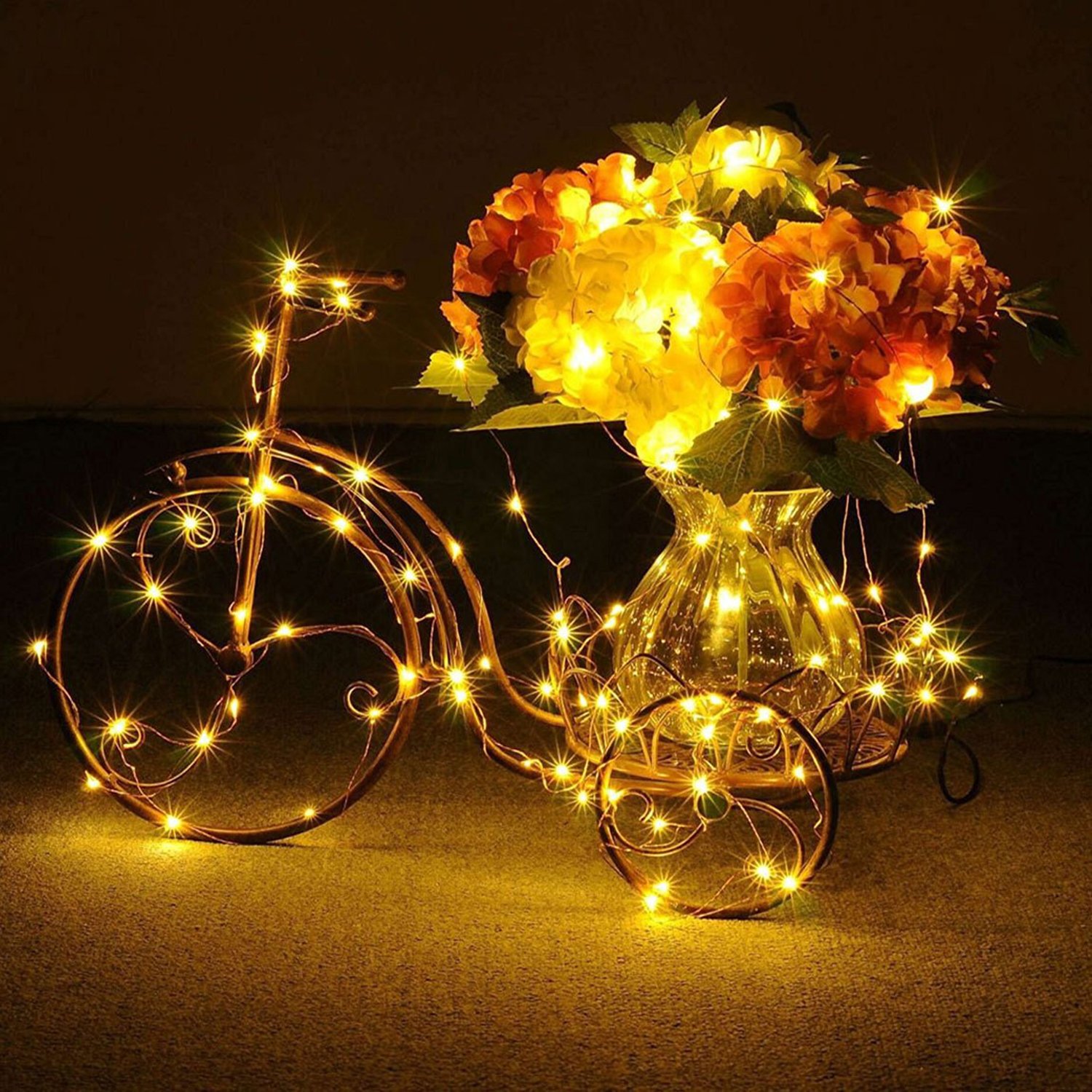 Fivanus 33Foot 100 LEDs Copper Strings Lights (Silver)