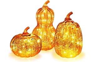 DECORKEY Fall Decorations for Home, Set of 3 Glass Pumpkin with LED Lights Thanksgiving Table Decor, Timer Lighted Pumpkin Decorations for Indoor Fall Mantel Decorating (DKGG-4054)