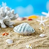 YU FENG 2.7inch Silver Mussel Hinged Trinket Box Wedding Ring Holder Metal Seashell Figurine For Ring Display Christmas Gift