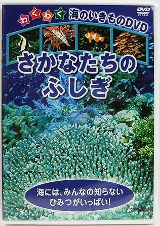 Amazon Co Jp さかなたちのふしぎ Dvd Dvd ブルーレイ Amazon Co Jp さかなたちのふしぎ Dvd Dvd ブルーレイ