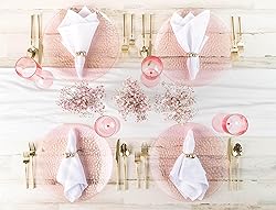 PARTY BARGAINS 13-Inch Charger Plates - 48