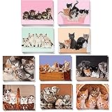 The Best Card Company - 20 Adorable Cat Greeting Cards (4 x 5.12 Inch) - Blank Assortment (10 Designs, 2 Each) - Litters Lett