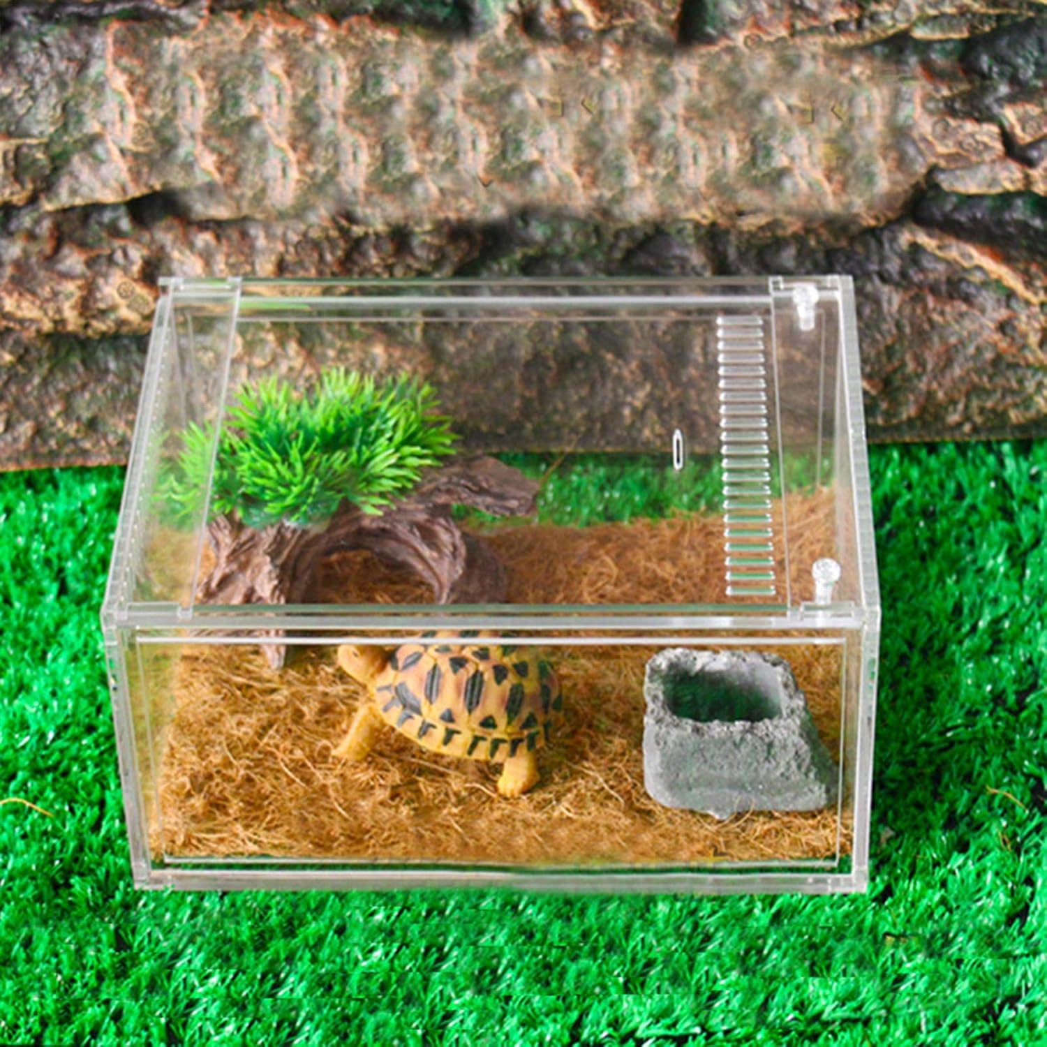 Amazon Co Jp 爬虫類テラリウム アクリル爬虫類アーボリアルハウススパイダー トカゲ スコーピオン ムカデ 角カエル ビートル ヘビのための透明な爬虫類ペット繁殖ケース 15 10cm ホーム キッチン