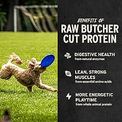Vital Essentials Bully Sticks Dog Treats, 1.4 oz