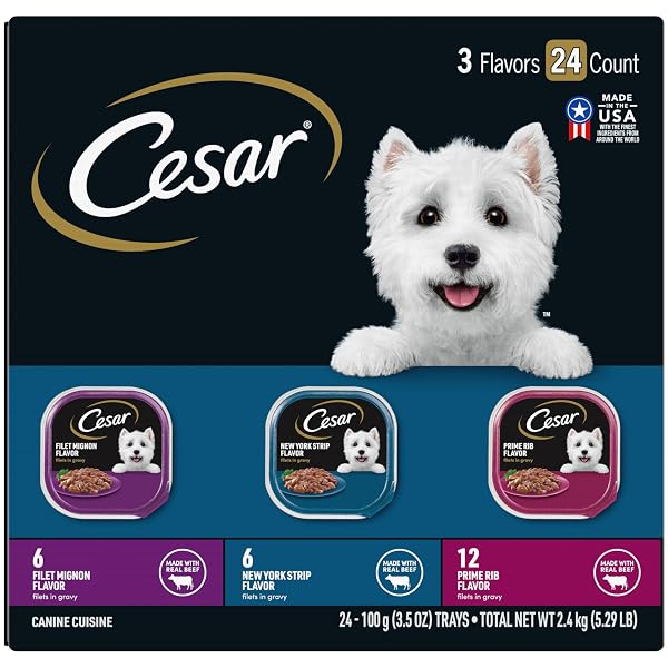 CESAR FILETS IN GRAVY ADULT WET DOG FOOD, FILET MIGNON, NEW YORK STRIP AND PRIME RIB FLAVORS MULTIPACK, 3.5 OZ. (24 COUNT, PACK OF 1)